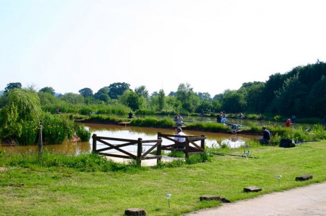 Beechwood Park 
